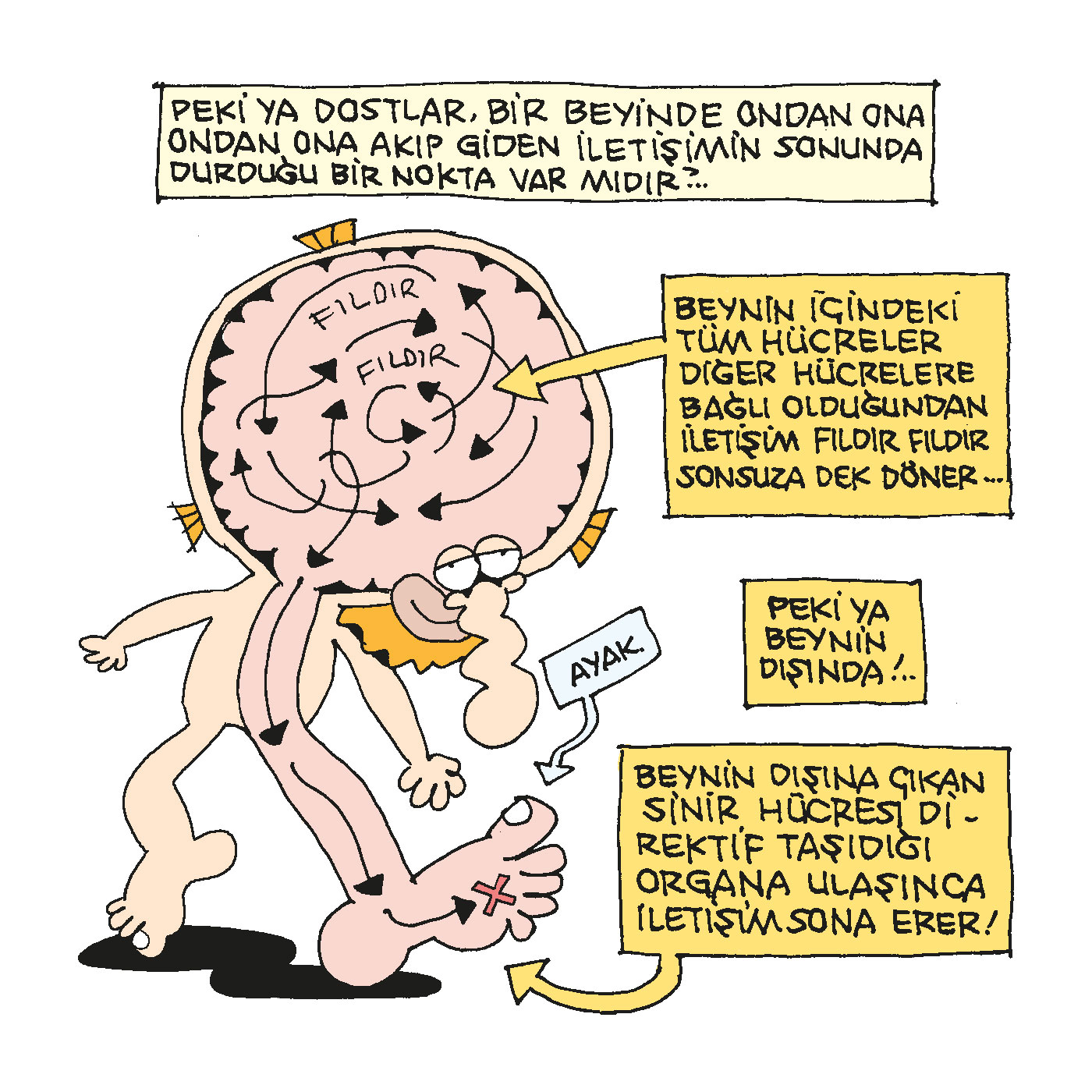 iddiaifadeozgurlugu-08